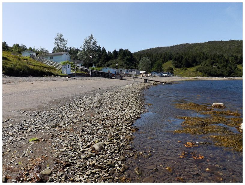 approaching brakes cove