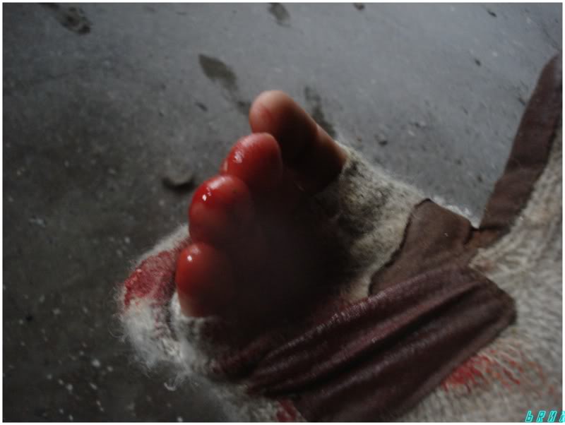 Pittsburgh Pennsylvania Skyline